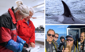 De mest likte nyhetene i 2025