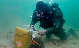 Se verdens villeste dykkere