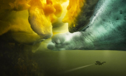 Neutral Density Photography Awards