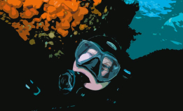 Klart, men kaldt: Vinterdykking