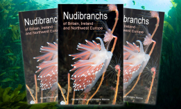 Fantastisk bok om nakensnegler