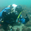 PADI Open Water i Ålesund 15. juni