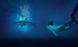 Se Sharkwater Extinction gratis