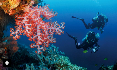 Spennende dykking og kultur på Bali