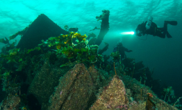 Are you diving in Narvik this fall?