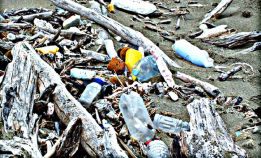 Vil forby flere engangsprodukter i plast