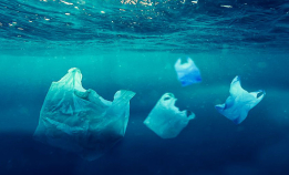 Dyrere plastposer er bra for miljøet