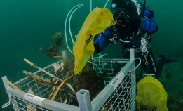 Konferanse om marin forsøpling: Clean Ocean 2020