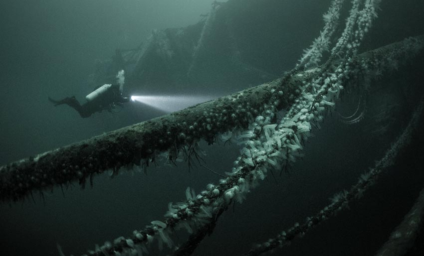 Tre videoer fra D/S Oldenburg