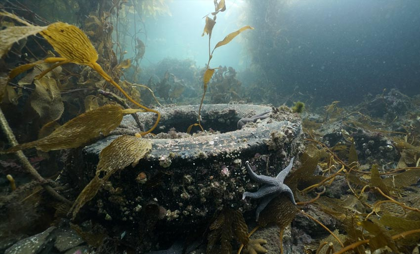 Ocean Conservancy: Deadline i dag