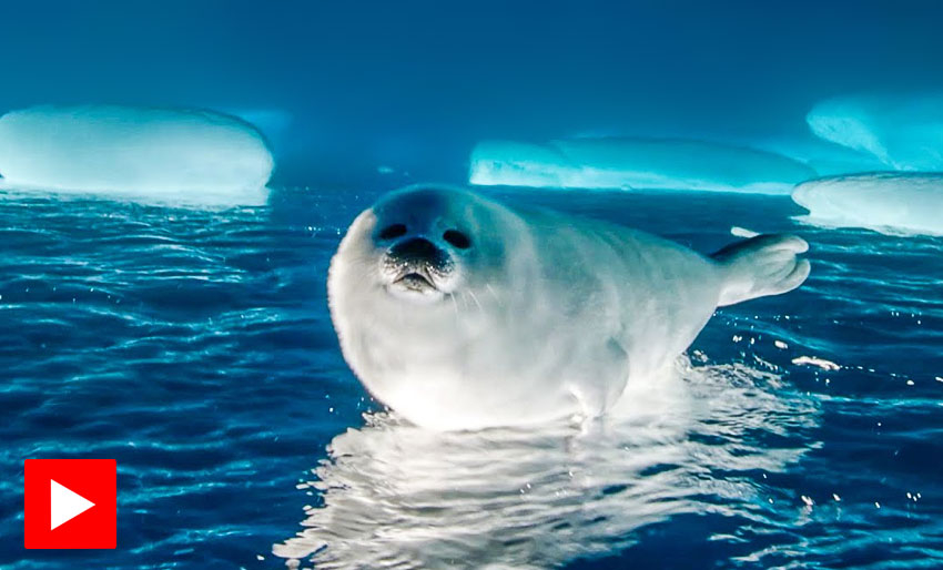 Slik er livet for en selunge