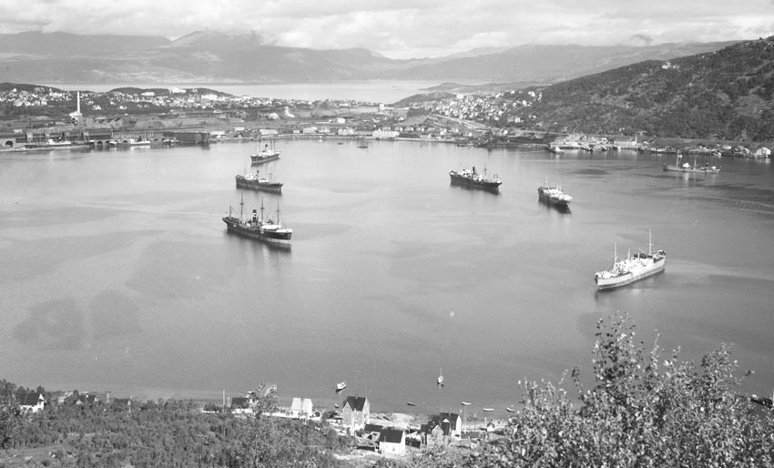 Hvor viktig var Narvik?