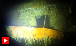 D/S Ionia: Torpedert av HMS Triad