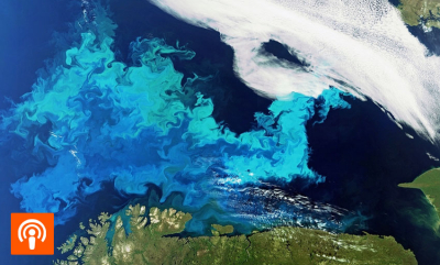 Da vårens vakreste eventyr gikk galt