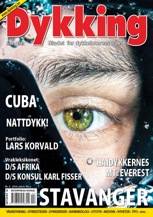 Dykking 2/2014