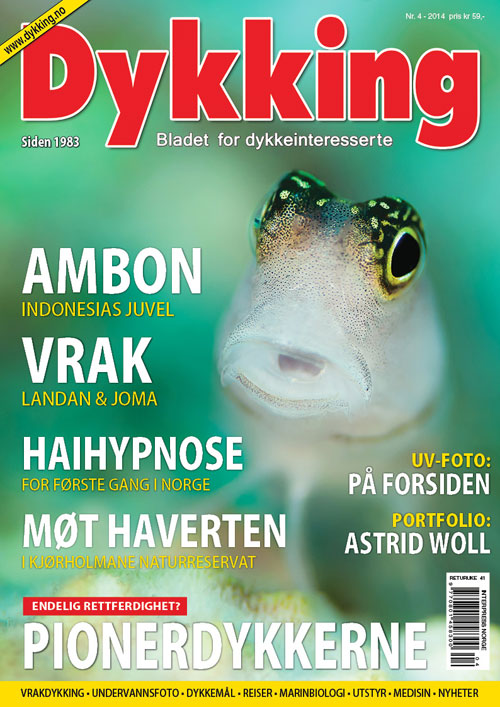 Dykking 4/2014